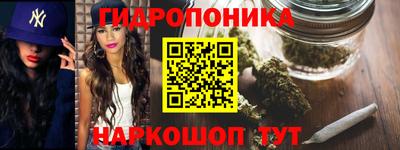 индика Ярославль