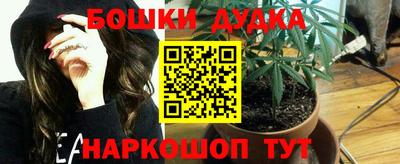 индика Ярославль