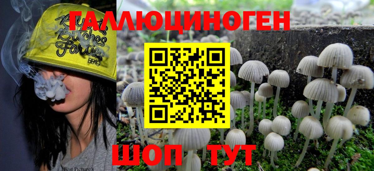 Прокопьевск  Псилоцибиновые грибы ЛСД  Вход с VPN 