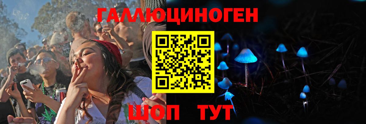 Псилоцибиновые грибы мухоморы Прокопьевск